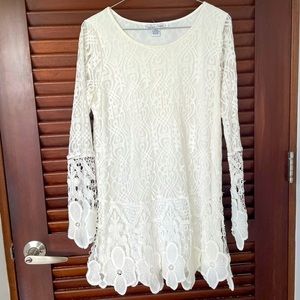 Embroidered lace mini dress